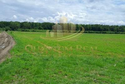 Teren agricol extravilan de 13500 mp, în Boteni - 3