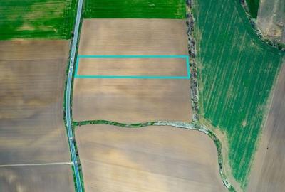 Teren extravilan între Arad și Zimand - 4