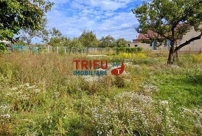 Casă cu Potențial și Teren Generos în Bărăban&#539 - 12