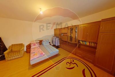 Casă individuală cu 8 camere cu Teren 4906 Mp în Central - 8