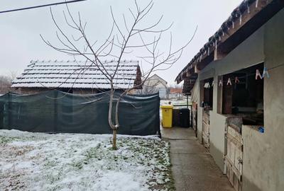 Casa de vanzare nadlac - 2