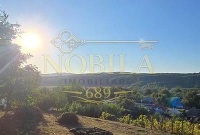 Teren de 10537 mp, în Bogdănești - 4
