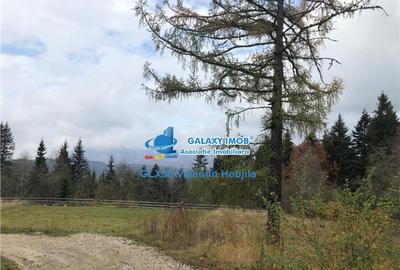Teren 850 mp Predeal Cioplea - Belvedere - 7