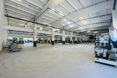 Hala de inchiriat, 500-2000mp s.a., birouri, showroom, Calea Chisinaului Iasi - 6