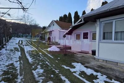 Casă cu 4 camere cu Teren 722 Mp în Podul Vadului - 1