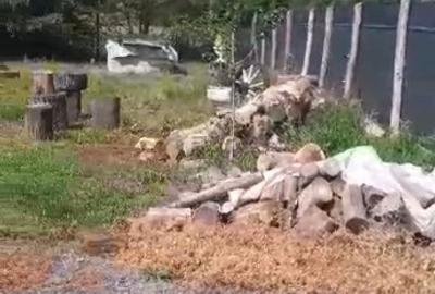 Casa 2 camere in Zam - ID : RH-38533-property - 10