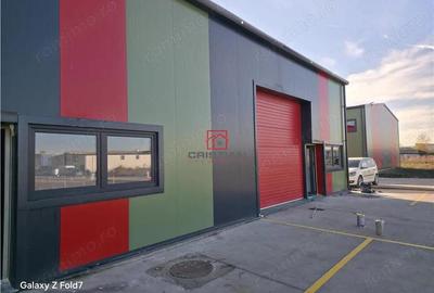 Inchiriere depozit hala spatiu industrial Theodor Pallady - Drumul Intre Tarlale - Oxigenului - 11