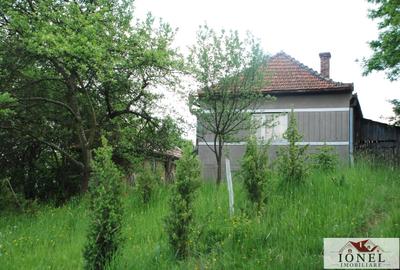Casa de vanzare cu 47.880 mp teren in Vintu de Jos - Mereteu - 1