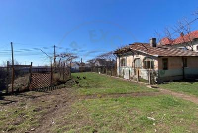 Teren Intravilan 3470 MP - Bradu - Toate utilitatile - - 4