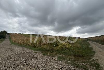 Teren de vanzare intravilan Sura Mare Sibiu 400 mp zona deos - 2