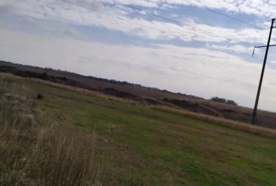 Teren de 800 mp, în Malu Mare - 4