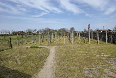 Casă cu 4 camere în Soreni - 5