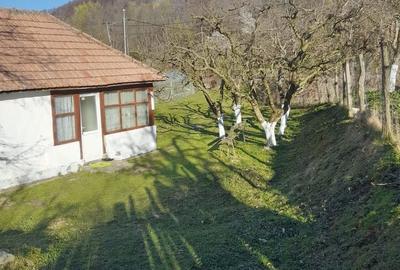 Casă cu 2 camere în Roșu - 5