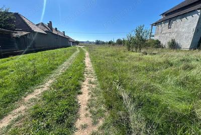 Teren de 5700 mp, în Teiu - 3