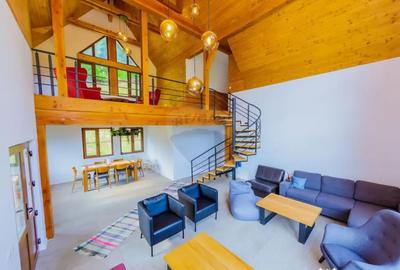 Casă cu 7 camere cu Teren 6370 Mp în Groși - 2