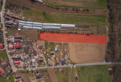 Teren Construcții intravilan de 3876 mp, în Balta Neagră - 4