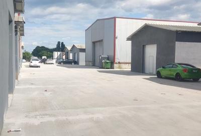 Hale renovate Oras Pantelimon module 200-400 mp ( zona industriala ) - 6