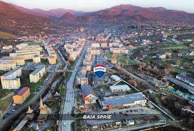 Teren 6,820mp, service, birouri si 2 hale in Baia Sprie zona Centrala - 1