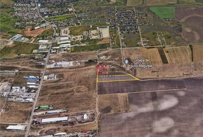 Teren Magurele - Atomistilor, ILFOV - 4