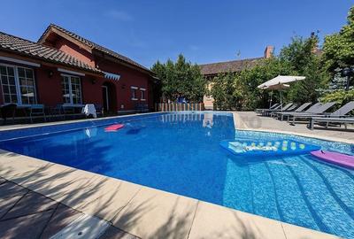 Casă individuală cu 5 camere cu Piscina în Iancu Nicolae