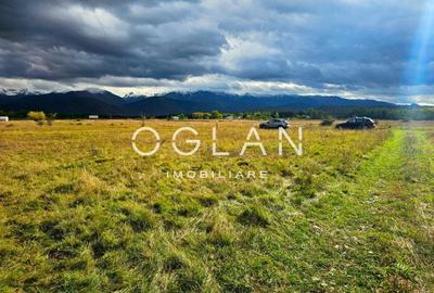 Teren Construcții extravilan de 1000 mp, în Est - 1