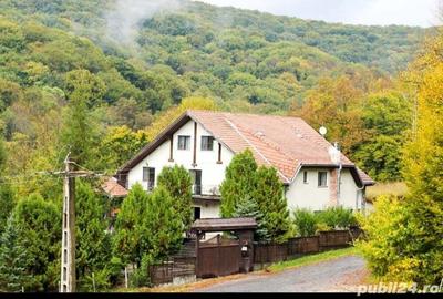 Spațiu comercial, de 350 mp, în Sighișoara - 6