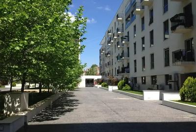 Oportunitate Spatiu comercial/birouri| 1 min Parcul Carol | Carol Park