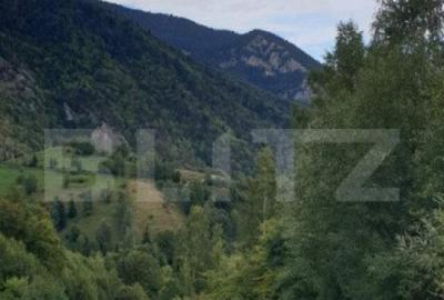 Teren 13.570 mp, Moieciu Pestera - 7