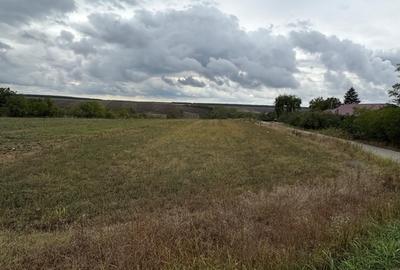 Teren în Pantelimon - 9