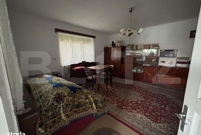 Casă cu 4 camere cu Teren 1439 Mp în Hereclean - 8