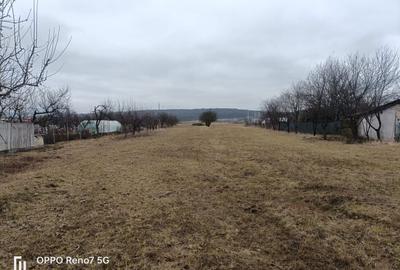 Teren de vanzare -Reghin - Iernuțeni 7000 mp - 1