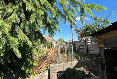 Casă cu 3 camere în Turda - 2