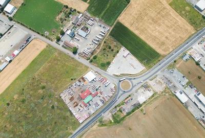 Teren extravilan 12.000 mp DN79 Arad-Oradea - 7