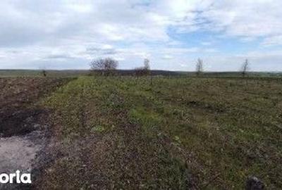 Teren de 10000 mp, în Șipote - 10