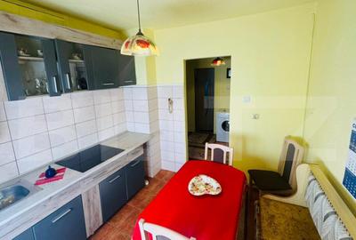 Apartament pentru vacan?a, 2 camere, 52 mp., Deda - 10