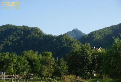 Teren intravilan Bistrita Birgaului, schimb cu apartament - 8