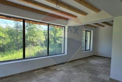 Casă cu 5 camere cu Teren 4000 Mp în Răzvad - 1