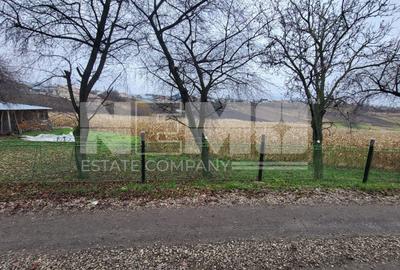 Teren agricol extravilan de 2000 mp, în Moara - 1