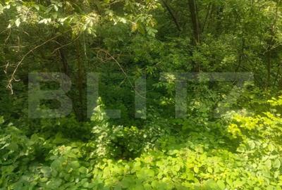 Teren de 5857 mp, în Horodnic - 3