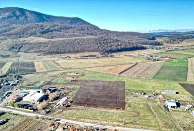 Teren Industrial cu P.U.Z. - 6