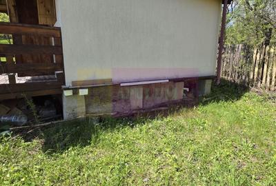 Teren Construcții intravilan de 1494 mp, în Șotrile - 3