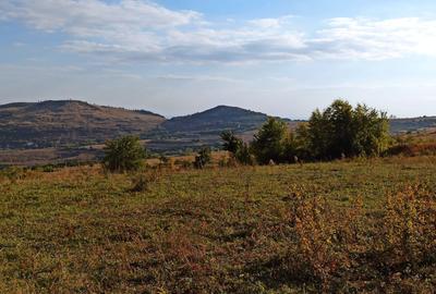 Teren de 21000 mp, în Jugureni - 8
