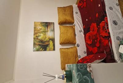 Garsonieră decomandată în Rahova - 3