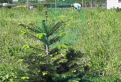 Spațiu comercial, în Cocani - 3