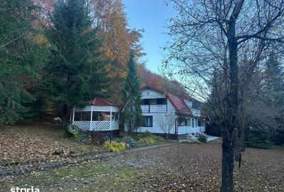 Casă cu 8 camere cu Teren 971 Mp în Cârțișoara - 13