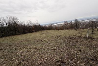 Spațiu comercial, în Buzești