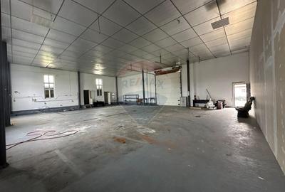 Spatiu industrial de 300mp de inchiriat - 5