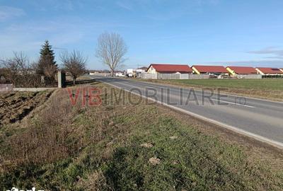 Teren de 16600 mp, în Bucovăț - 6