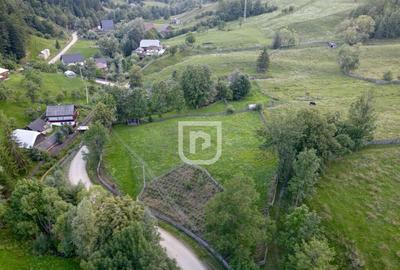 Teren intravilan 2.807mp Manastirea Humorului | Bucovina - 4
