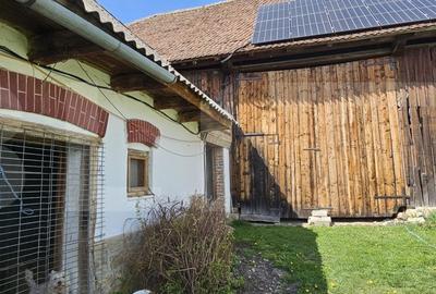 Casa traditionala secuiasca de vanzare – Valea Crisului, aproape de Sf.Gheorghe - 5